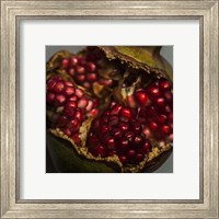 Pomegranate Fine Art Print