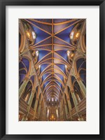 Notre-Dame Cathedral Basilica Fine Art Print