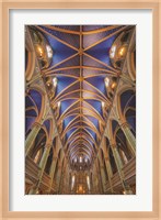 Notre-Dame Cathedral Basilica Fine Art Print