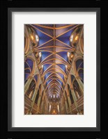 Notre-Dame Cathedral Basilica Fine Art Print