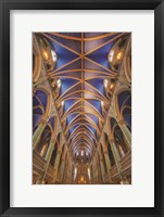 Notre-Dame Cathedral Basilica Framed Print