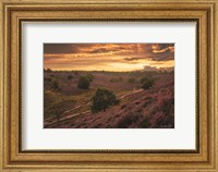 Just a Sunset in the Netherlands Fine Art Print