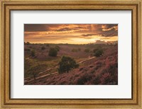 Just a Sunset in the Netherlands Fine Art Print