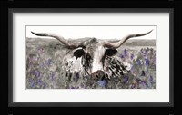 Longhorn in Flower Field Fine Art Print