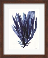 Transparent Indigo Sea Grass II Fine Art Print