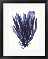 Transparent Indigo Sea Grass II Fine Art Print