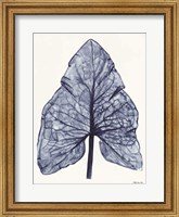 Indigo Leaf Fine Art Print