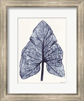 Indigo Leaf Fine Art Print