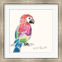 Preston the Parrot Fine Art Print