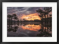 Sunrise in the Swamps Fine Art Print