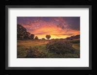 From the Netherlands with Love Fine Art Print