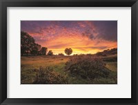 From the Netherlands with Love Fine Art Print