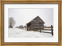Coming to the Barn Fine Art Print