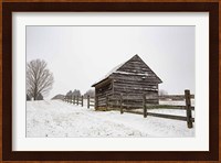 Coming to the Barn Fine Art Print
