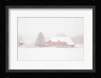 Big Red Fine Art Print