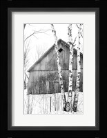 The Diamond Window Framed Print