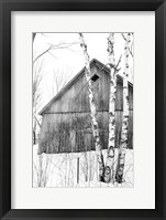 The Diamond Window Framed Print