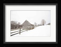 Fenced In Fine Art Print