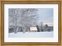 Barn with a View Fine Art Print