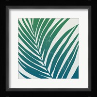 Tropical Treasures III Blue Green Framed Print