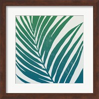 Tropical Treasures III Blue Green Fine Art Print