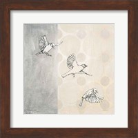 Sparrows Alighting Fine Art Print