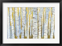 Aspen Grove Fine Art Print