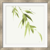 Bamboo VI Green Fine Art Print