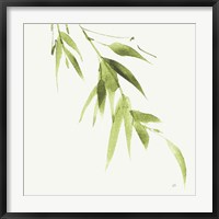Bamboo VI Green Fine Art Print