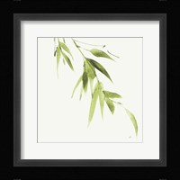 Bamboo VI Green Fine Art Print