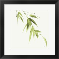 Bamboo VI Green Framed Print