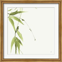 Bamboo V Green Fine Art Print