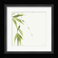 Bamboo V Green Framed Print