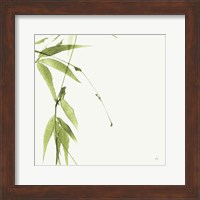 Bamboo V Green Fine Art Print