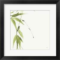 Bamboo V Green Framed Print