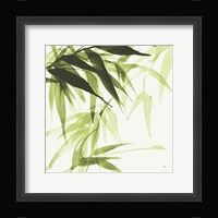 Bamboo IV Green Framed Print