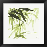 Bamboo IV Green Framed Print