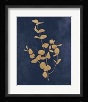 Botanical Study II Gold Navy Framed Print