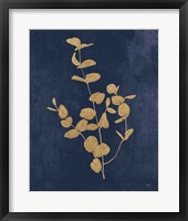 Botanical Study II Gold Navy Framed Print