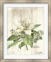 Magnolia de Printemps v2 Fine Art Print