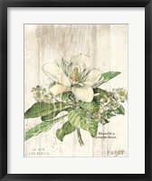 Magnolia de Printemps v2 Fine Art Print