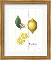 Cottage Lemon II Fine Art Print