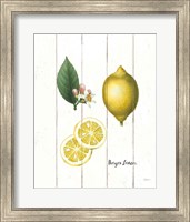 Cottage Lemon II Fine Art Print
