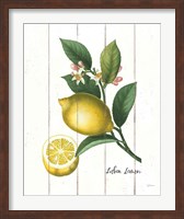 Cottage Lemon I Fine Art Print
