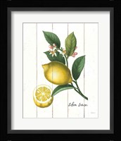Cottage Lemon I Framed Print