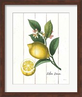 Cottage Lemon I Fine Art Print