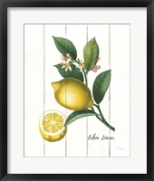 Cottage Lemon I Framed Print