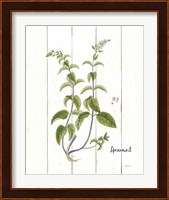 Cottage Herbs IV Fine Art Print