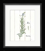 Cottage Herbs I Framed Print