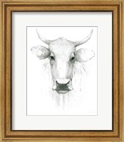 Cow Sketch Fine Art Print